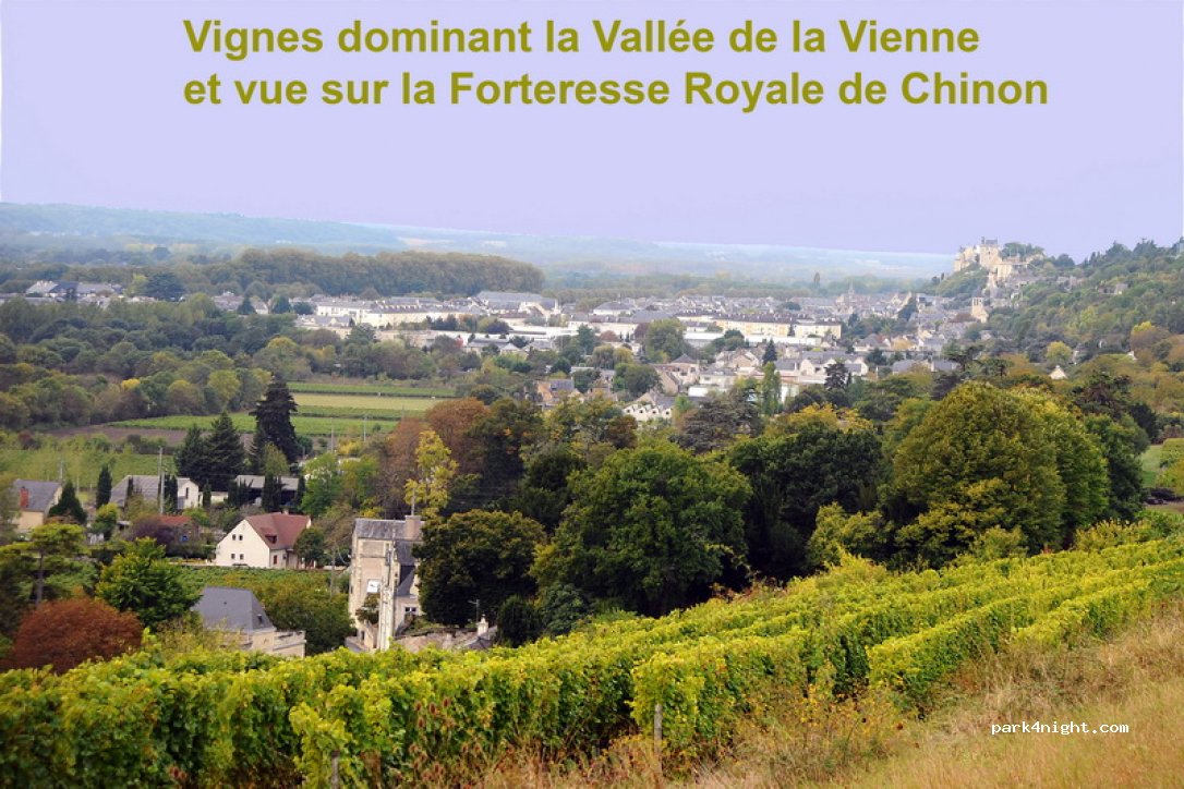 Domaine de la Dozonnerie — foto 4