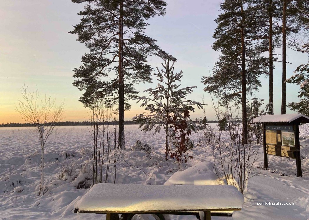 (340 32) Grimslöv - Unnamed Road — foto 3