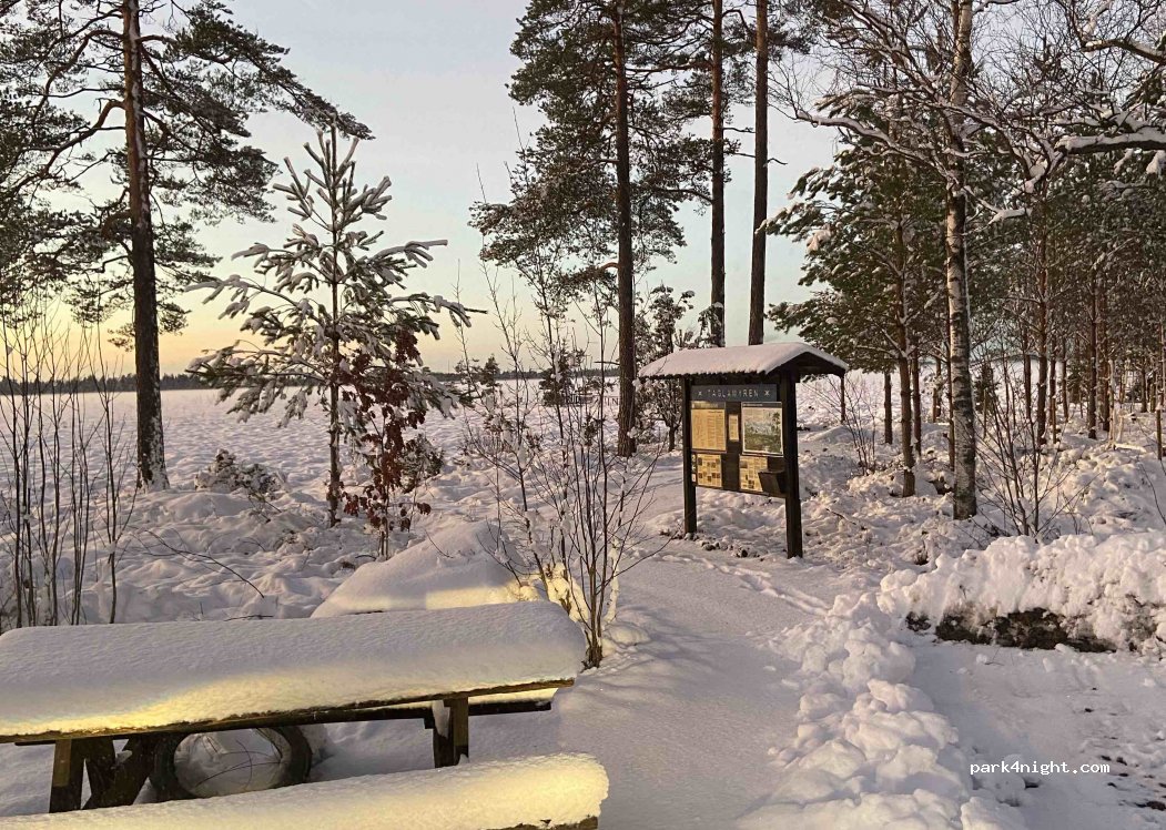 (340 32) Grimslöv - Unnamed Road — foto 4