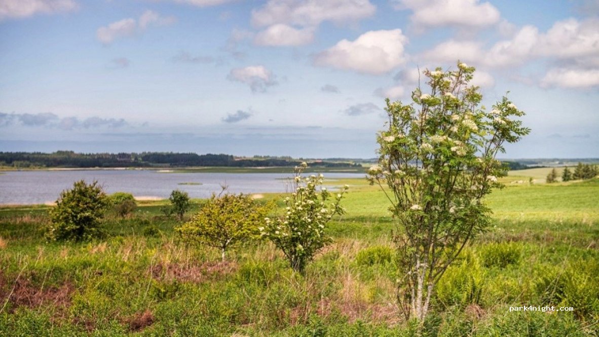 (7755) Bedsted Thy - 4B Nedergårdsvej — foto
