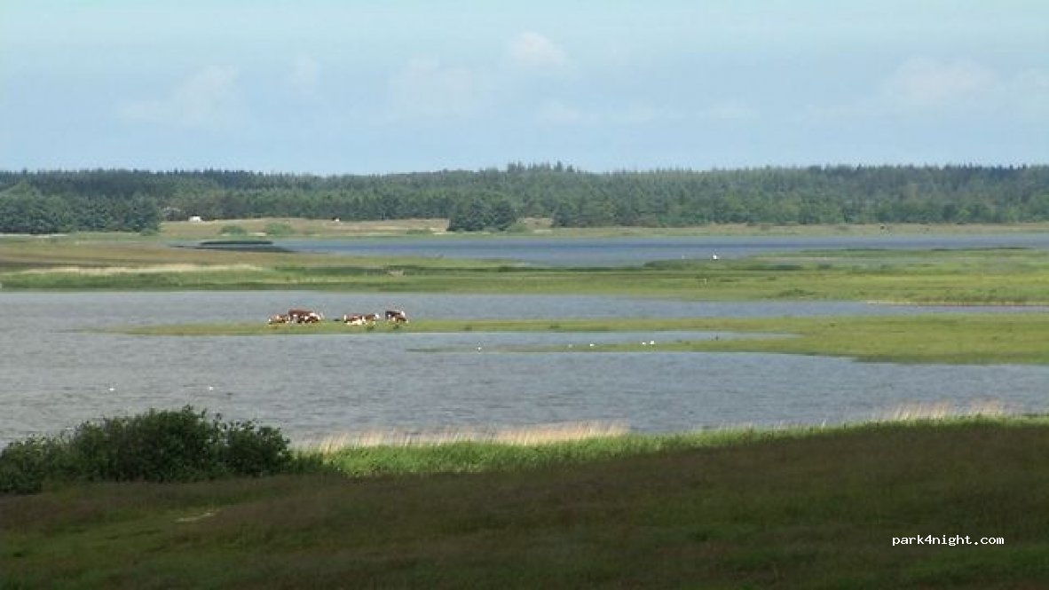 (7755) Bedsted Thy - 4B Nedergårdsvej — foto 2