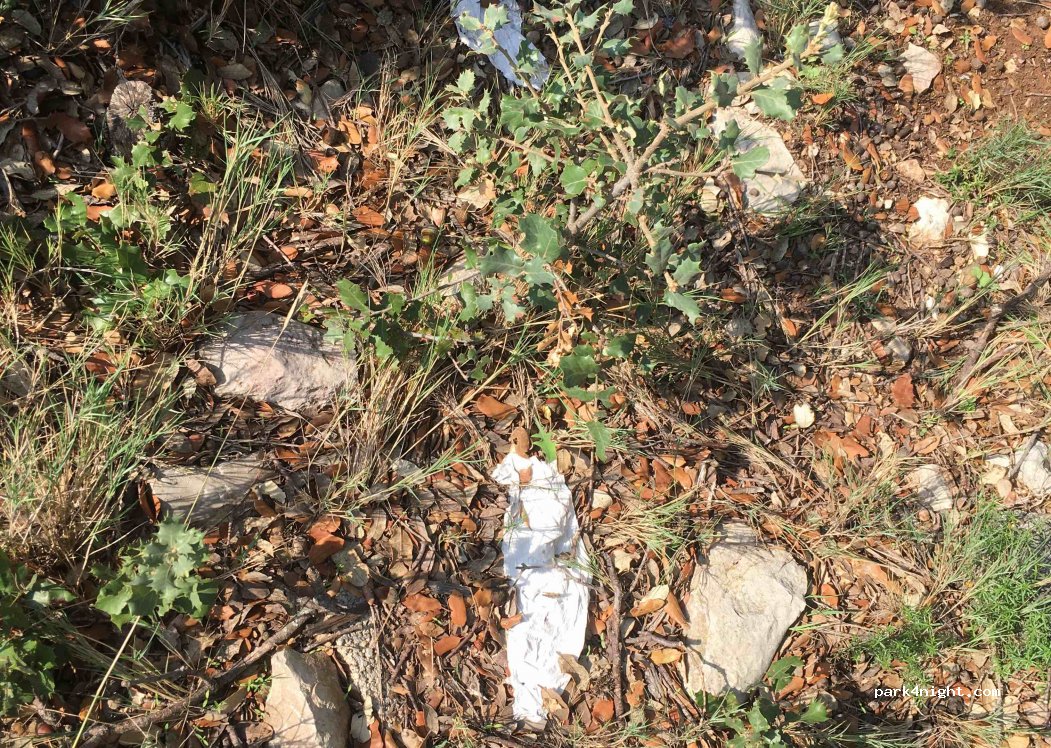 (46392) Siete Aguas - Unnamed Road — foto 3