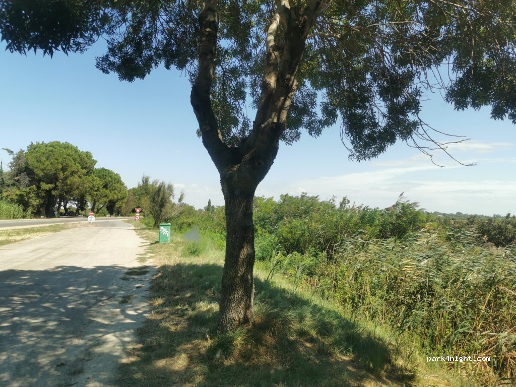 (13123) Arles - Route des Saintes Maries de la Mer — foto