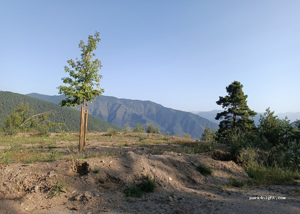 (25594) Rialp - Unnamed Road — foto 3