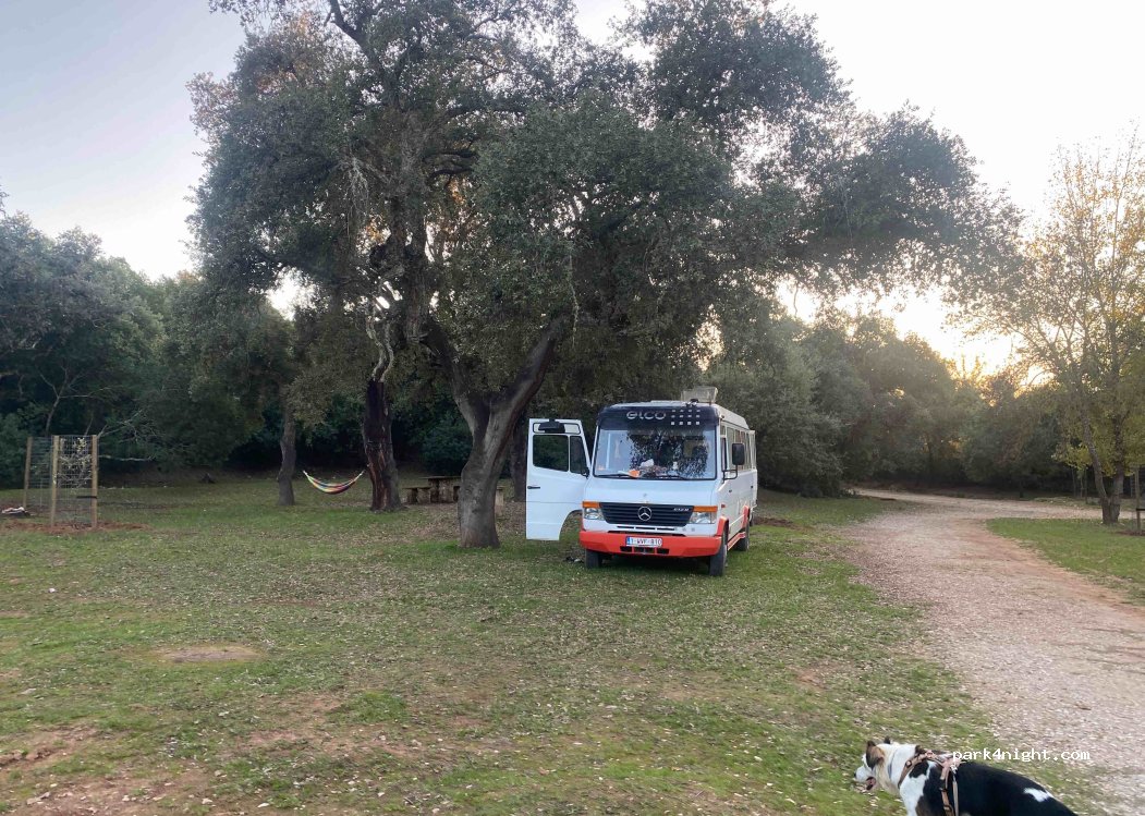 (14740) Hornachuelos - Unnamed Road — foto 4