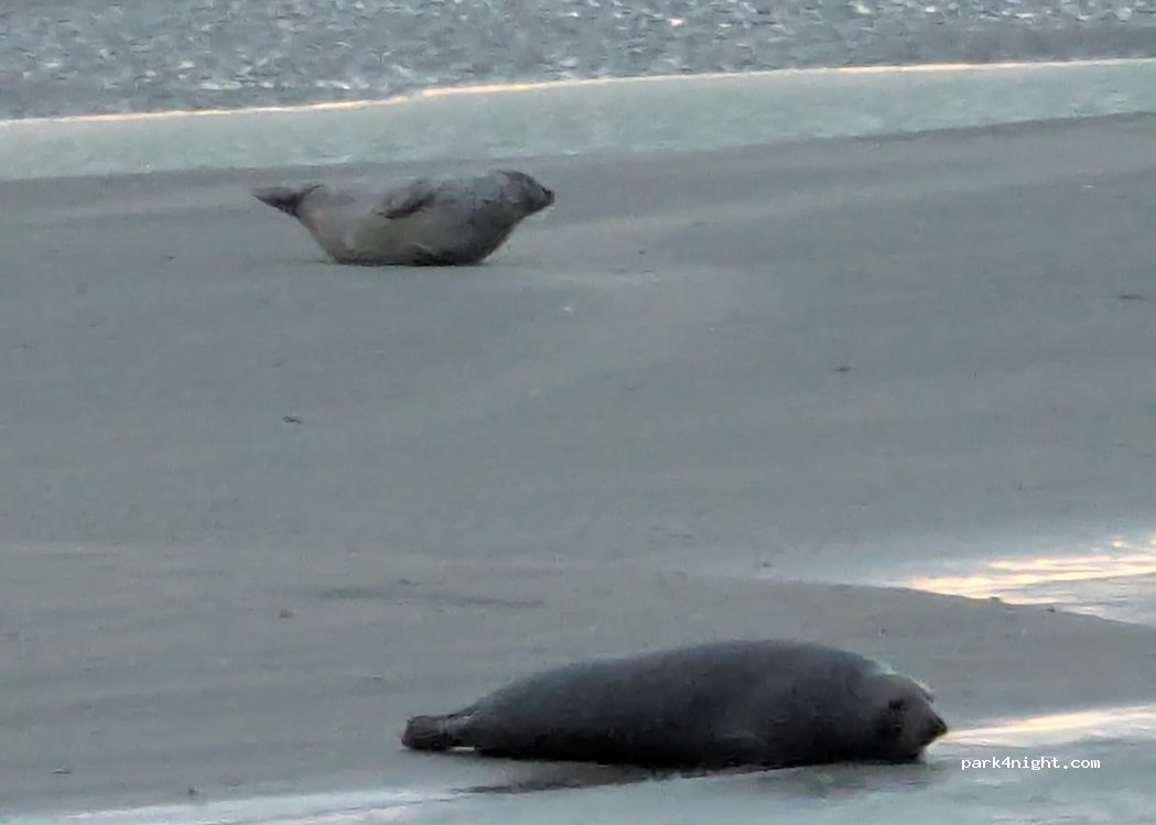 (62600) Berck - 7 Chemin aux Raisins — foto 5