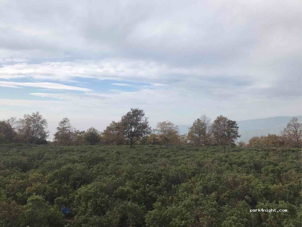 (16600)  - Haydariye Köyü İç Yolu — foto 3