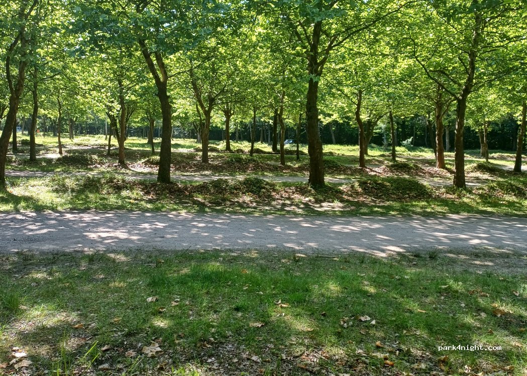 (50354) Hürth - Unnamed Road — foto 2