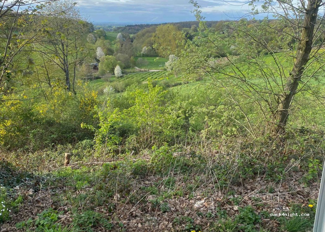 (53359) Rheinbach - 202 Madbachstraße — foto 4