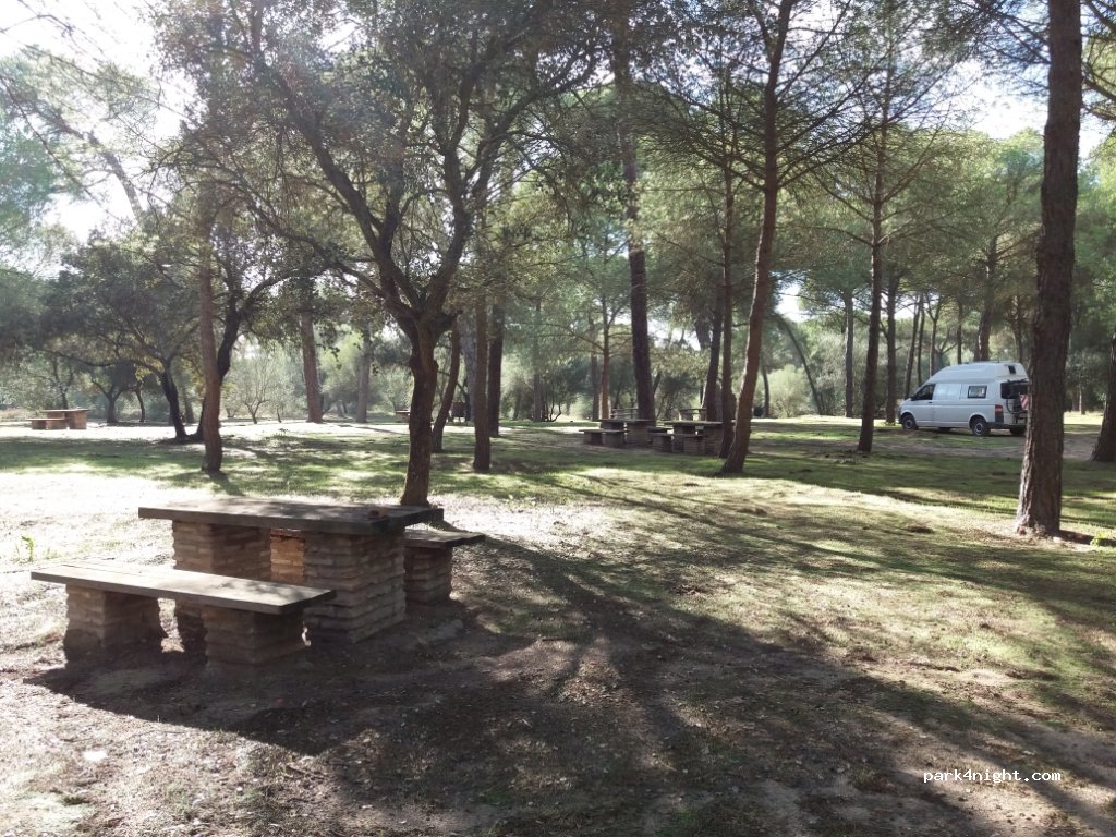 (41849) Aznalcázar - Unnamed Road — foto