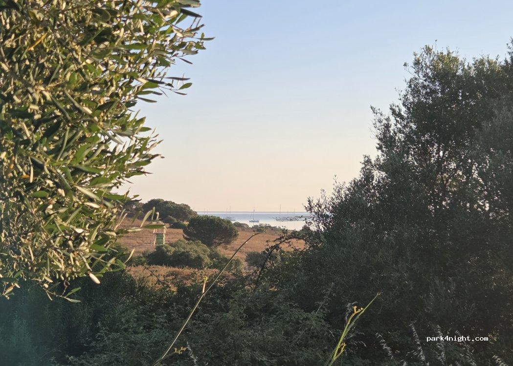 (07020) Loiri Porto San Paolo - 1540 Strada Statale 125 Orientale Sarda — foto 4
