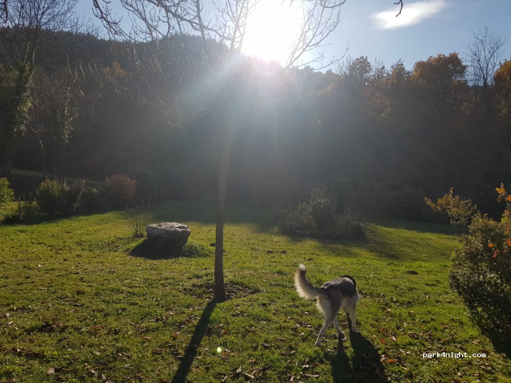 (66820) Fillols - D27 — foto