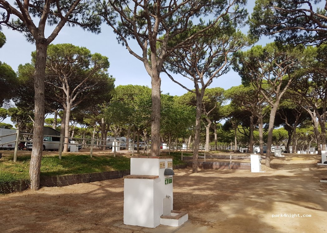 Camping Pinar San José — foto 3