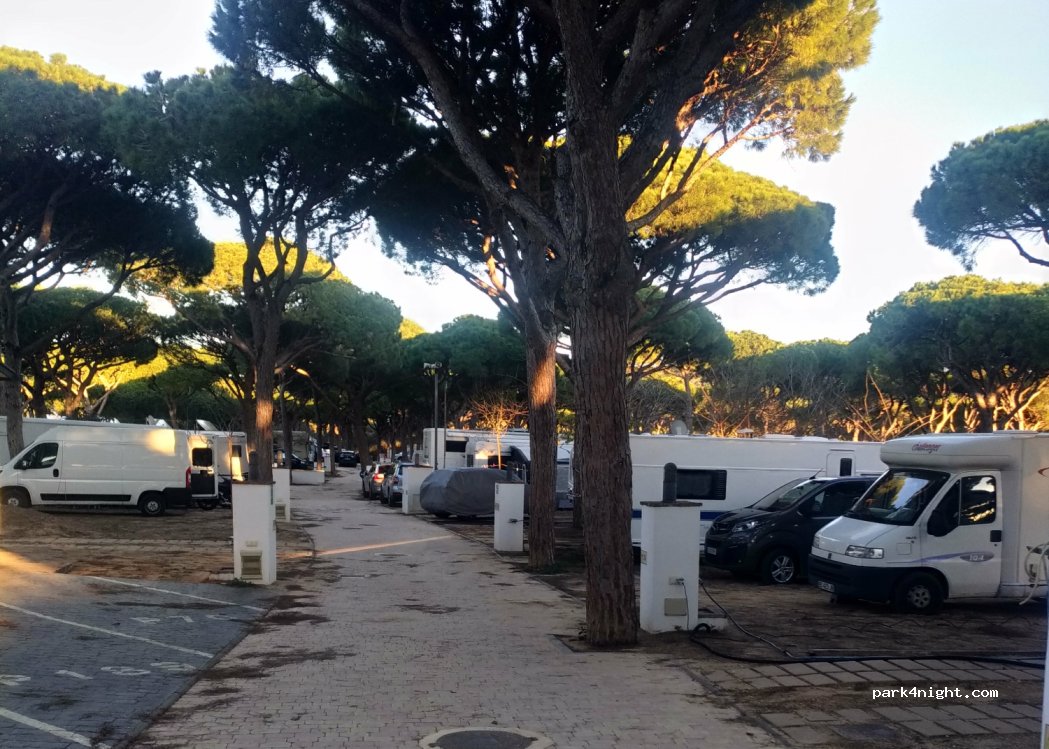 Camping Pinar San José — foto 4