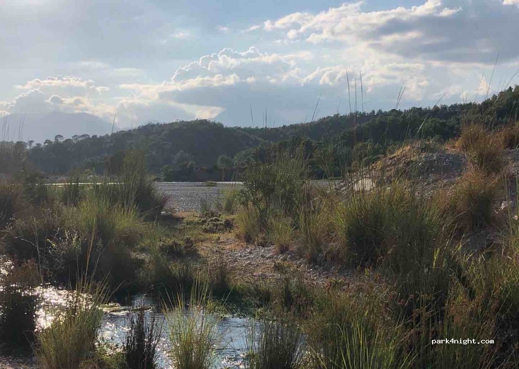 (48850) Muğla - Palamut Köyü Yolu — foto 4