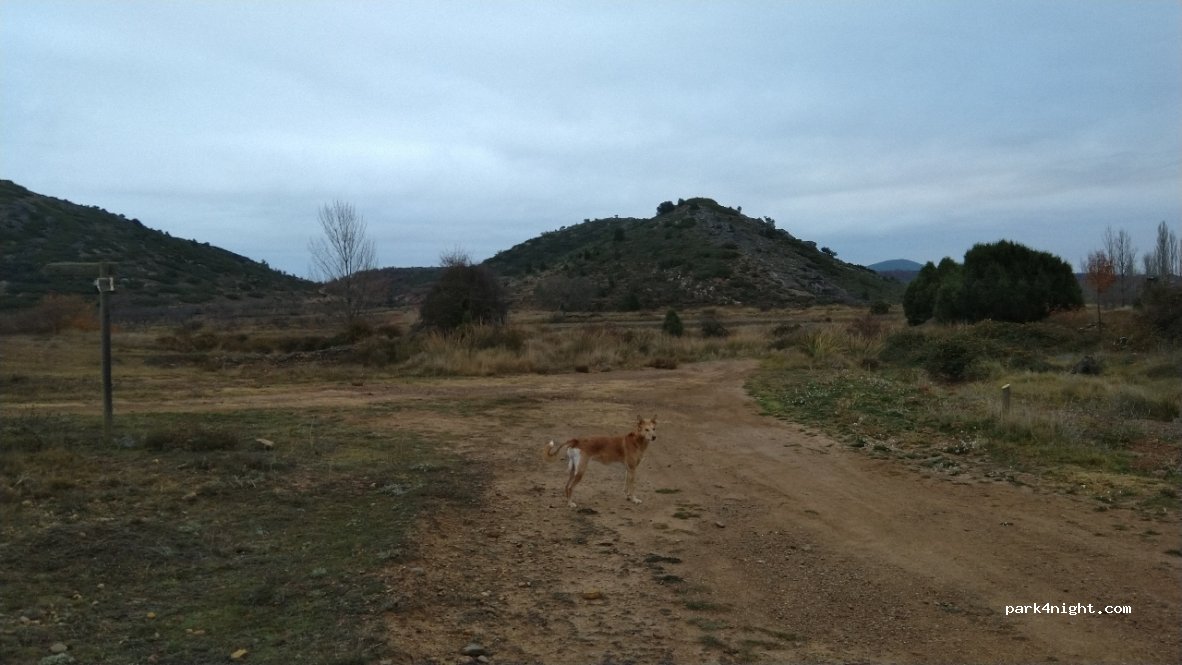 (44480) San Agustín - Unnamed Road — foto 3