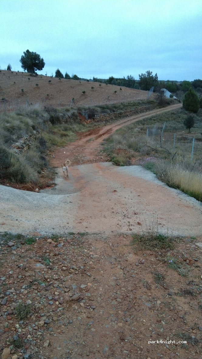 (44480) San Agustín - Unnamed Road — foto 4