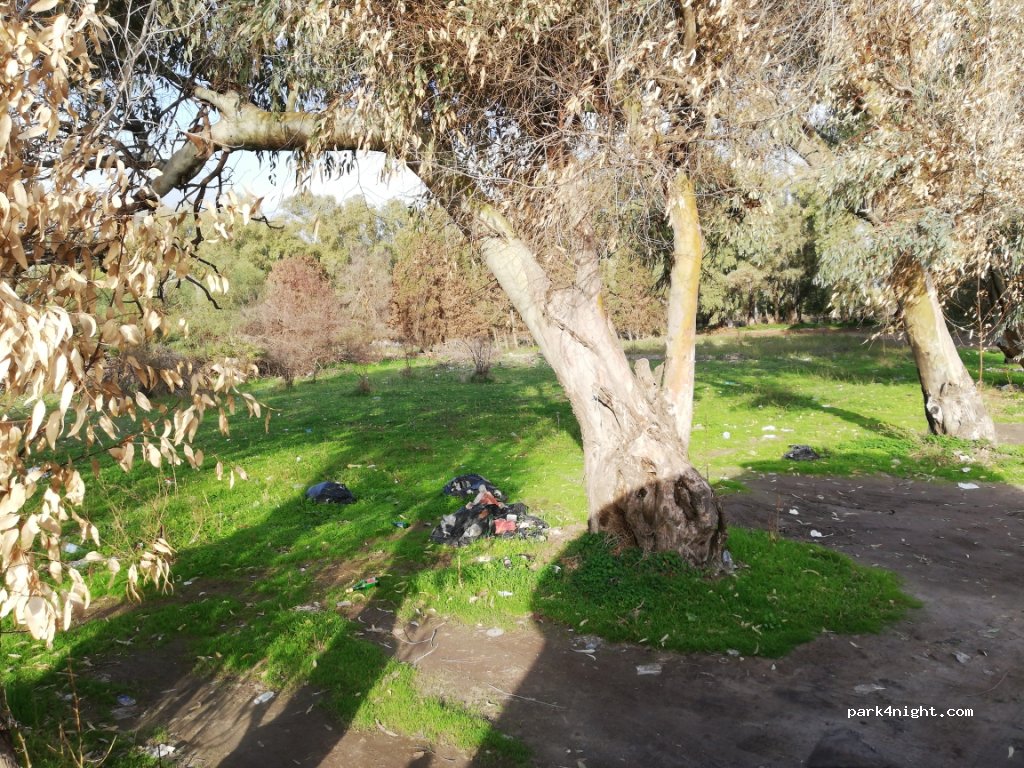 (95121) Catania - 78 Viale Presidente Kennedy — foto