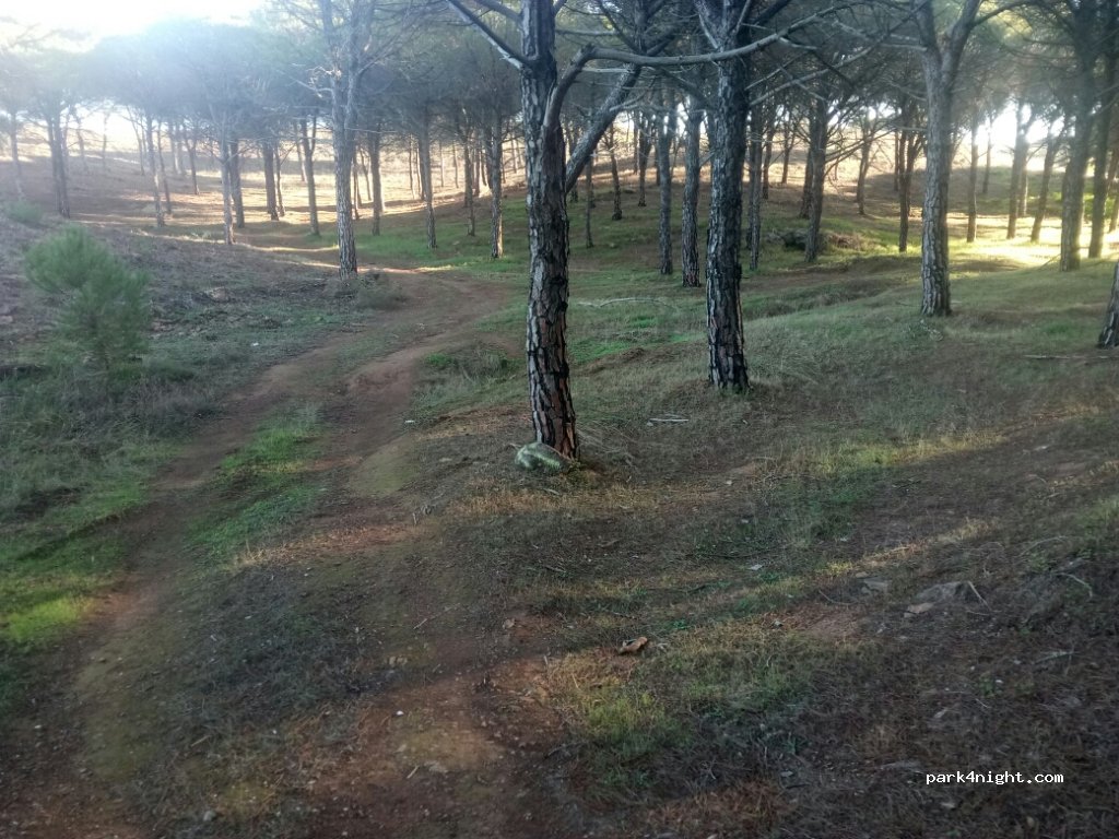 (8800) Vila Nova de Cacela - Unnamed Road — foto