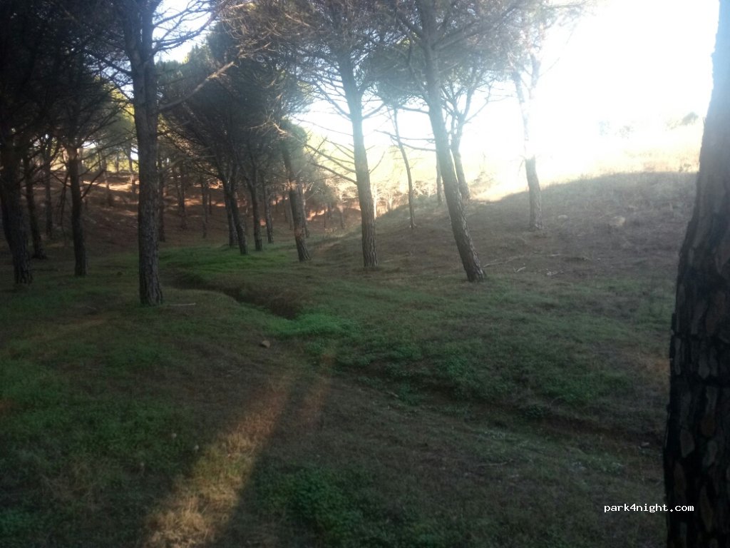 (8800) Vila Nova de Cacela - Unnamed Road — foto 2
