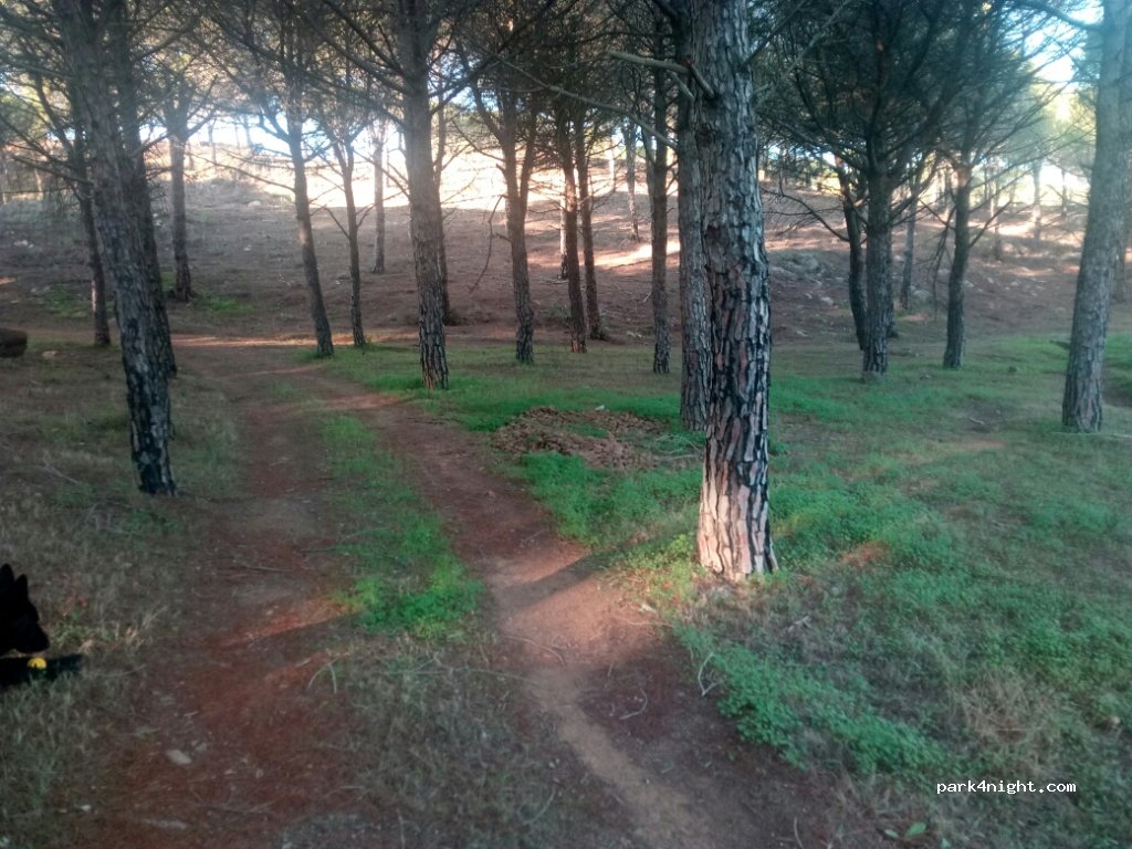 (8800) Vila Nova de Cacela - Unnamed Road — foto 3