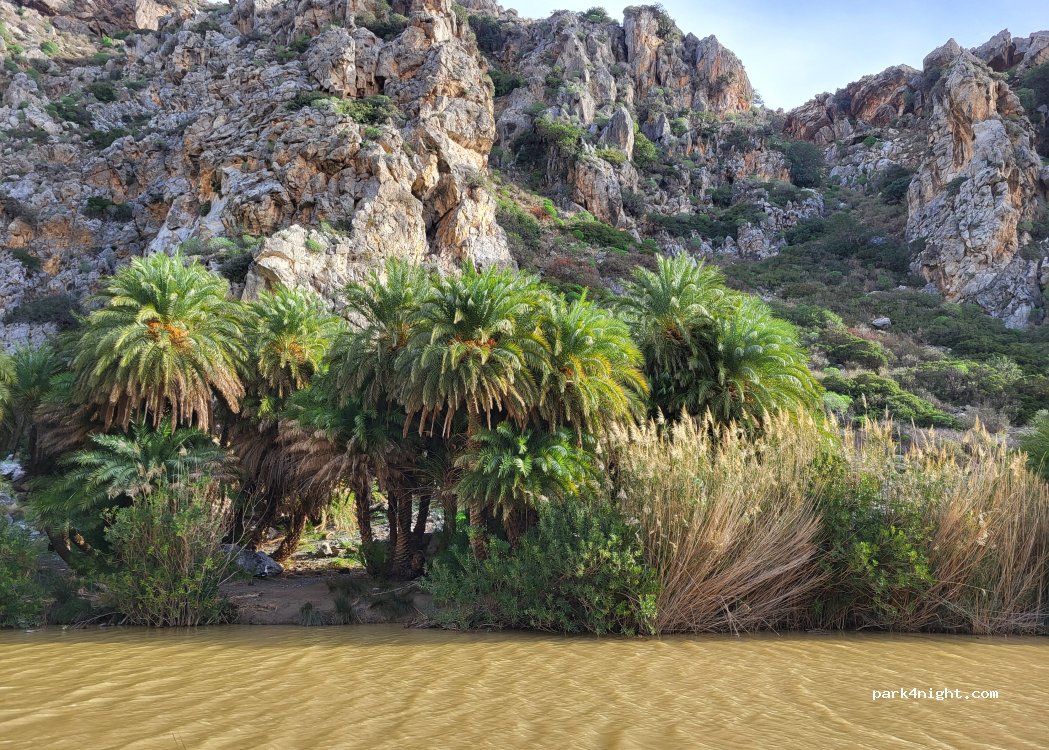 (740 60) Finikas - Unnamed Road — foto 4