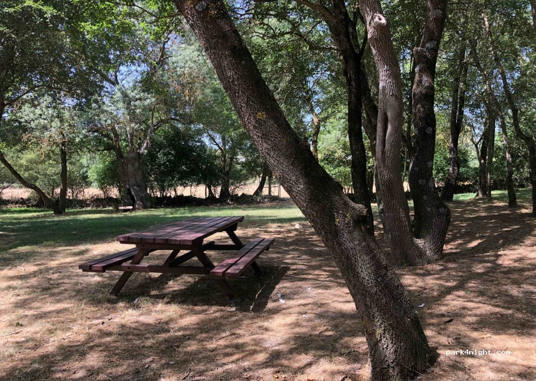 (22714) Guasa - 11 Calle Única — foto 3