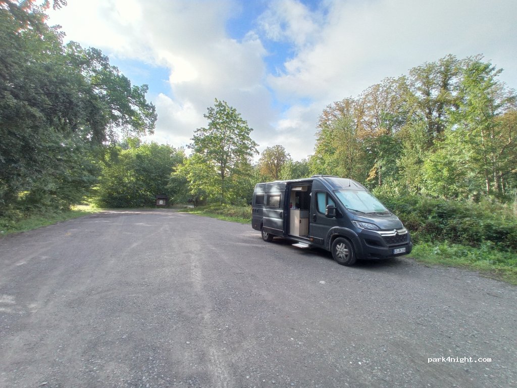(31832) Springe - L461 — foto 2