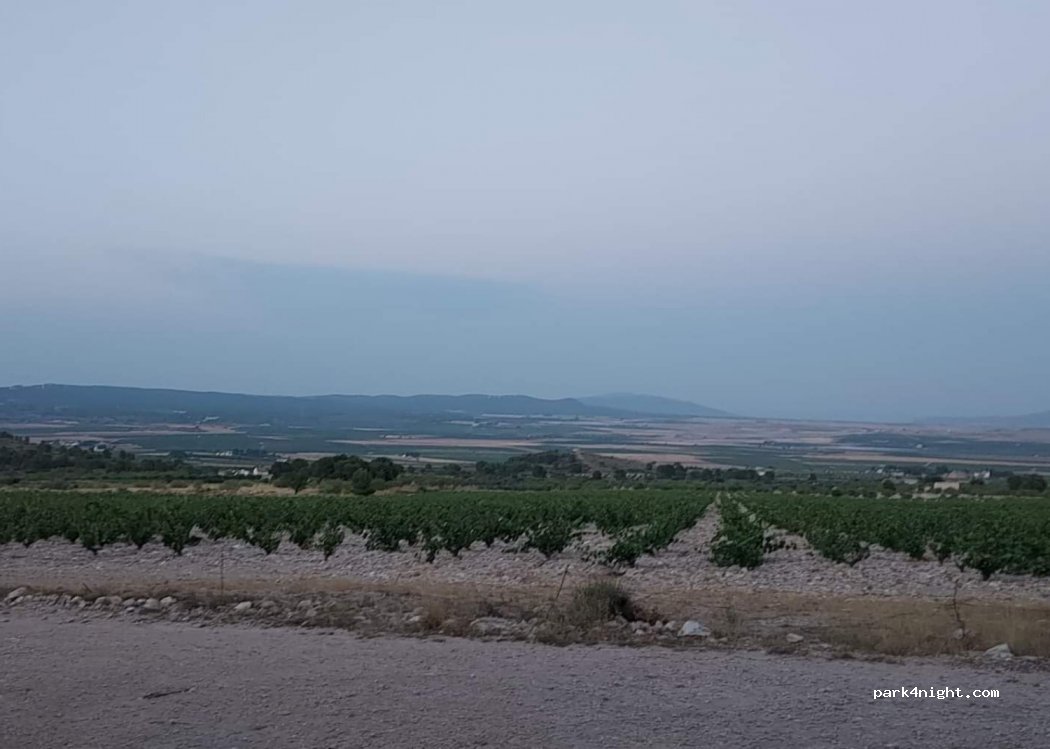 (30510) Yecla - Unnamed Road — foto 2