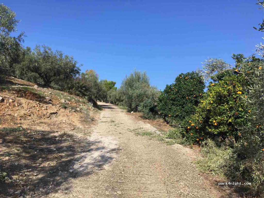 (211 00) Nea Tirintha (Nafplio) - — foto 2