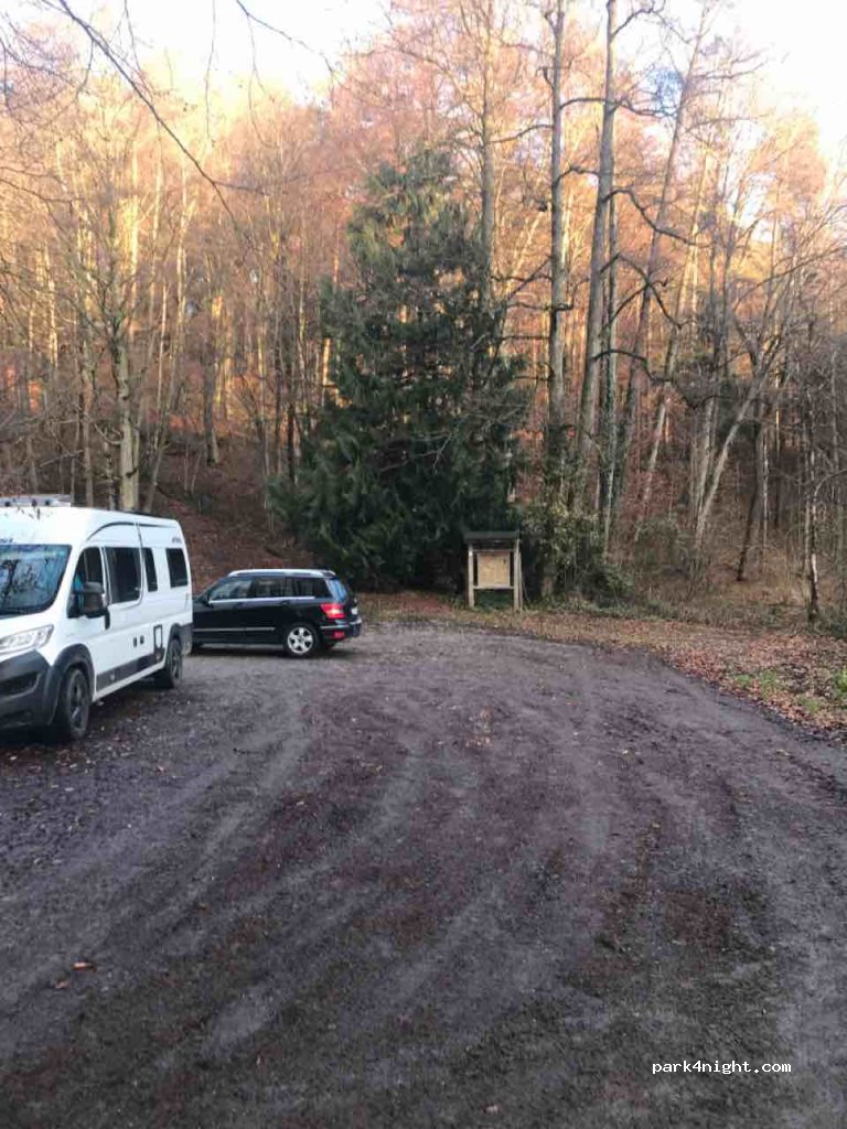 (88069) Tettnang - 11 Hagenbuchen — foto