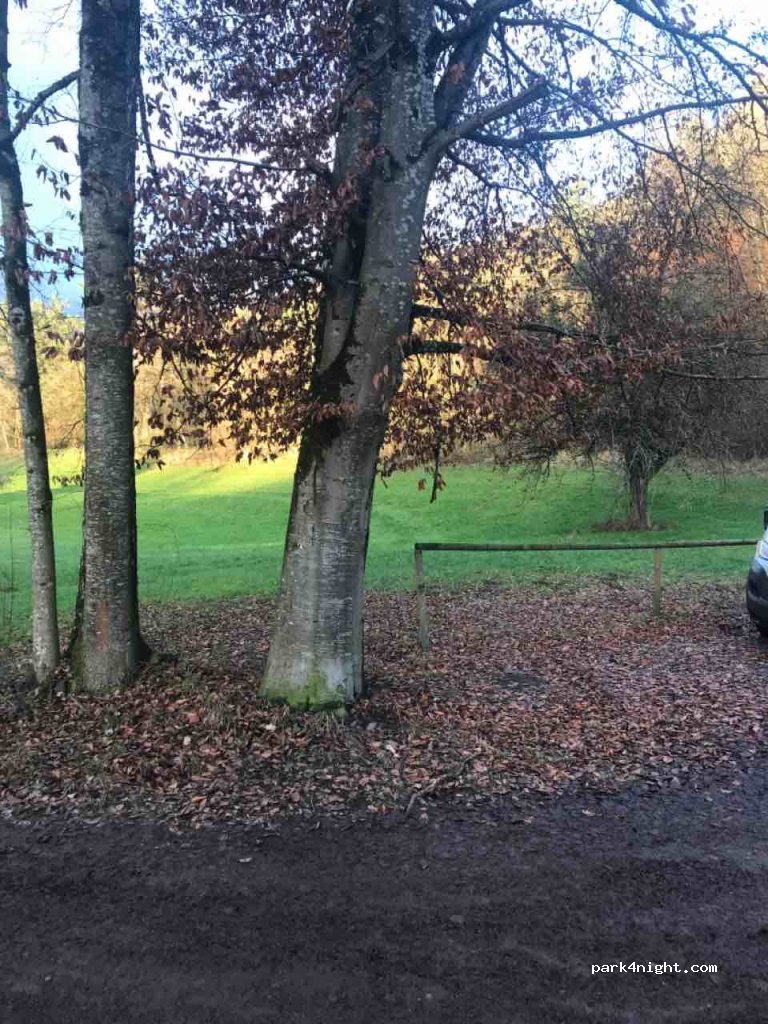 (88069) Tettnang - 11 Hagenbuchen — foto 2