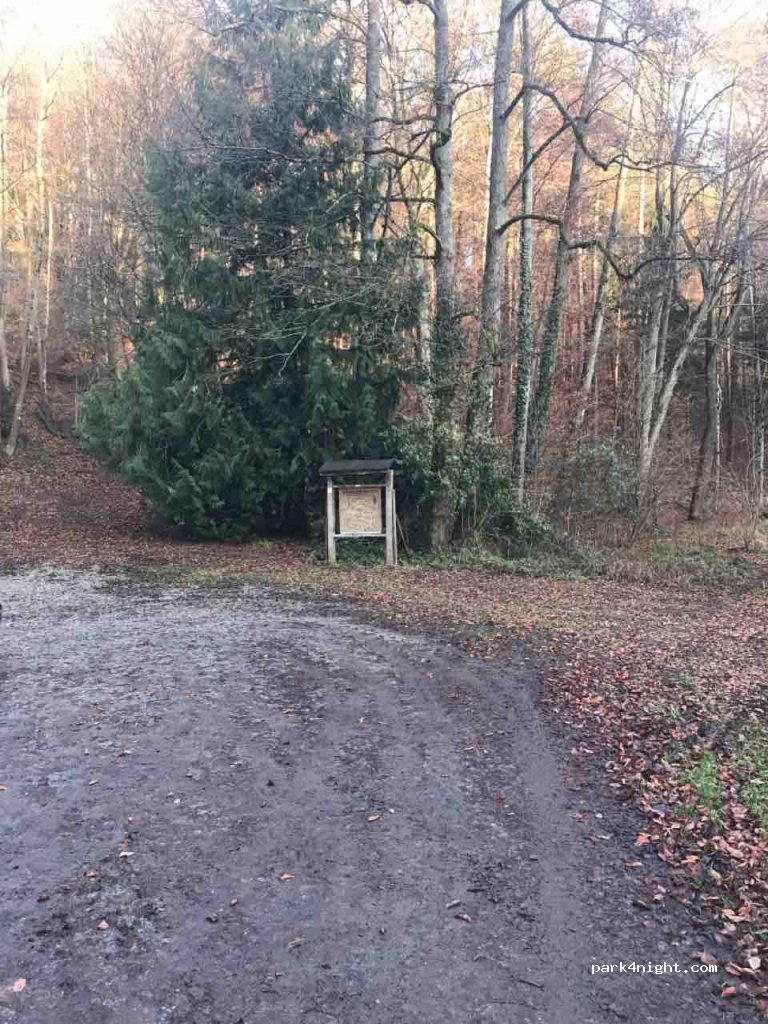 (88069) Tettnang - 11 Hagenbuchen — foto 3
