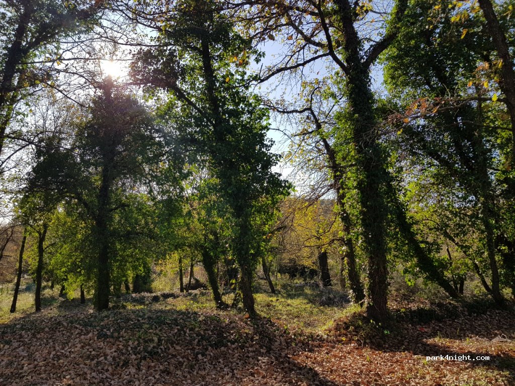 (06140) Vence - 2606 Chemin de la Sine — foto 2