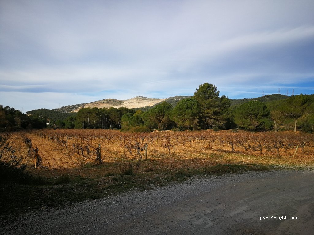 (08859) Begues - 11 Carrer Camp dels Prats — foto 3