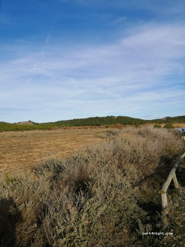 (26500) Calahorra - Camino la Estanca — foto 4