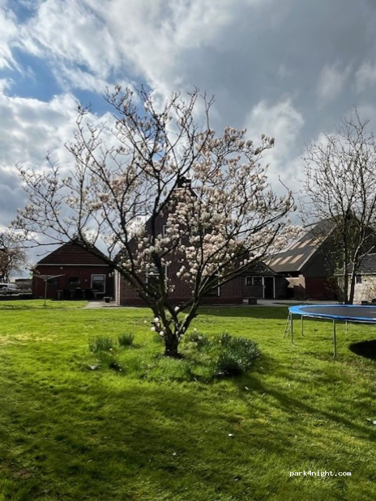 Camping Johanna Hoeve — foto