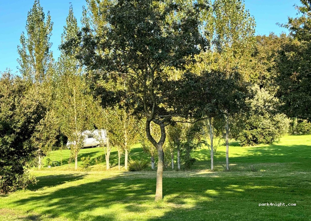 (44320) Saint-Père-en-Retz - La Fillauderie — foto 3