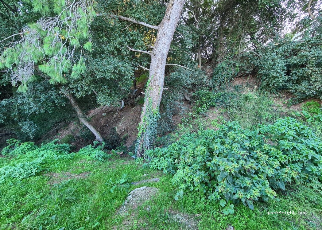 (270 65) Archea Olimpia - 59 Πραξιτέλη Κονδύλη — foto 2