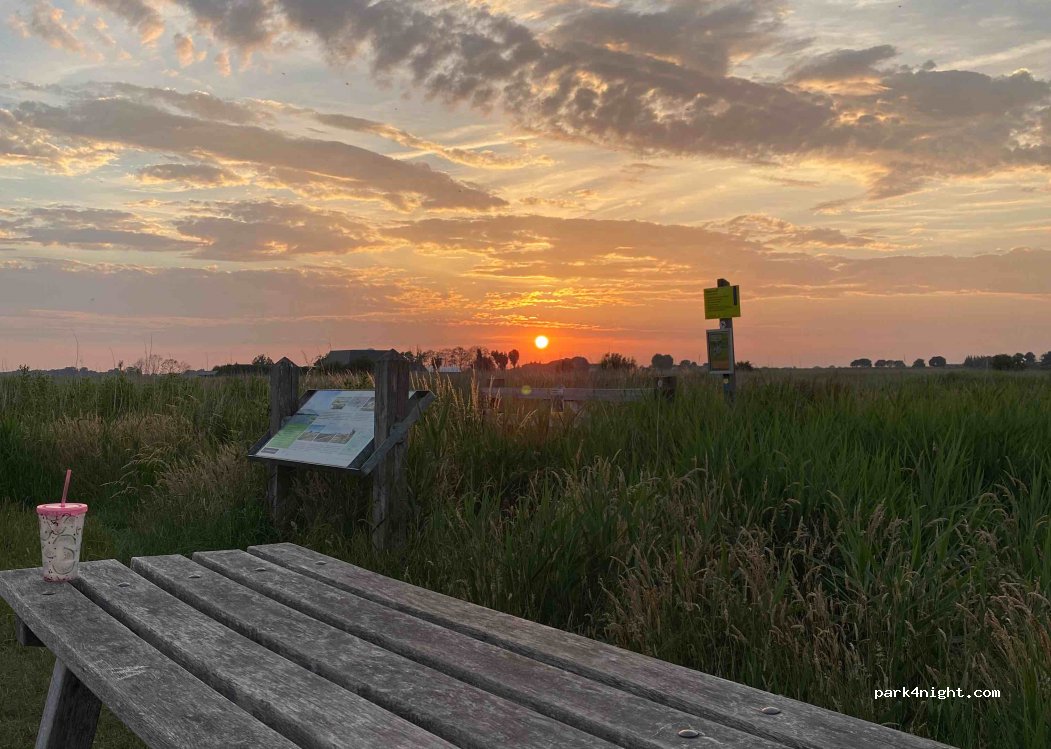 (3646 AJ) Waverveen - 13 Botsholsedwarsweg — foto 3