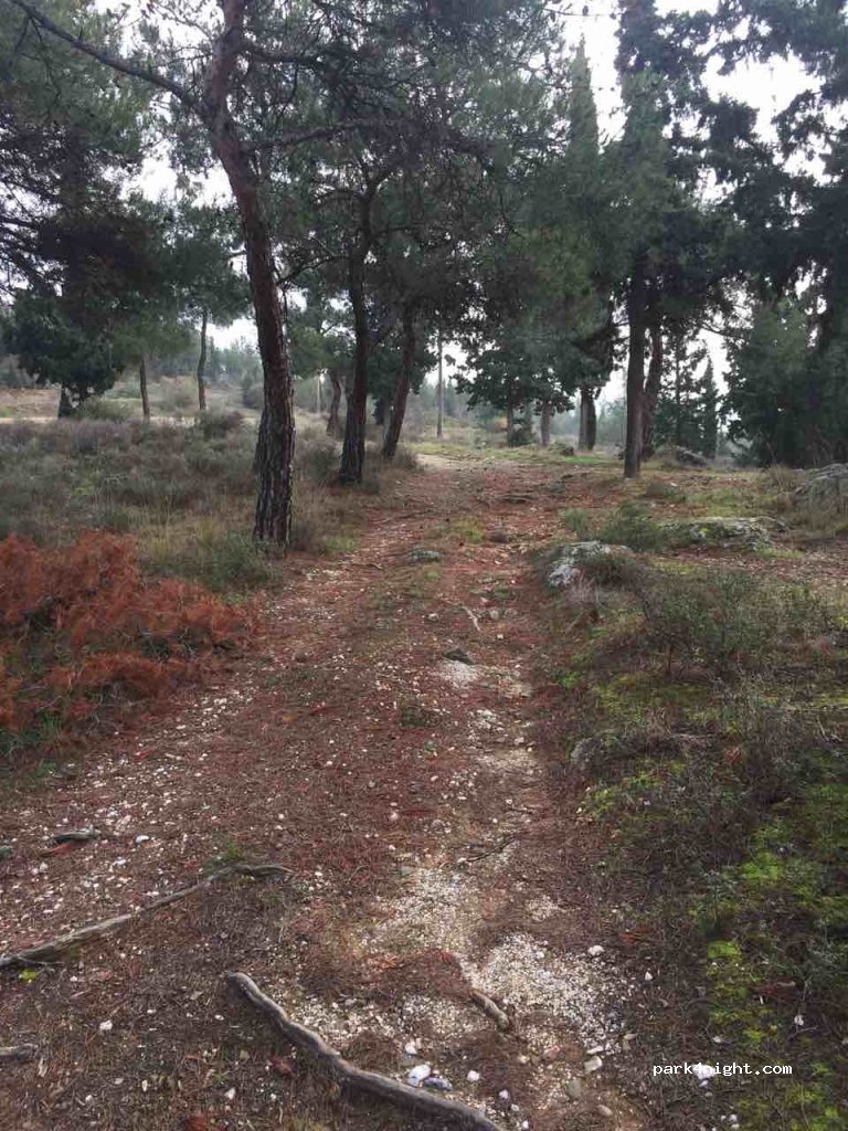 (555 35)  - Unnamed Road — foto 2