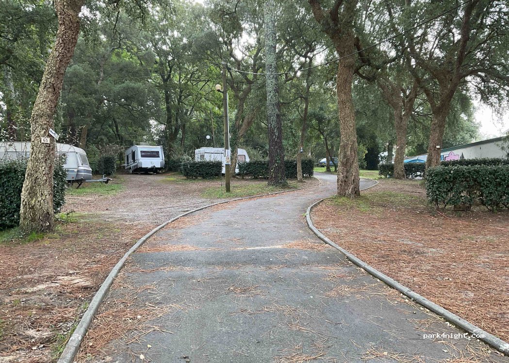 Camping Jobel *** — foto 3