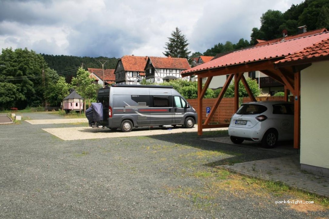 (35083) Wetter (Hessen) - 11 Blaues Lenchen — foto 4
