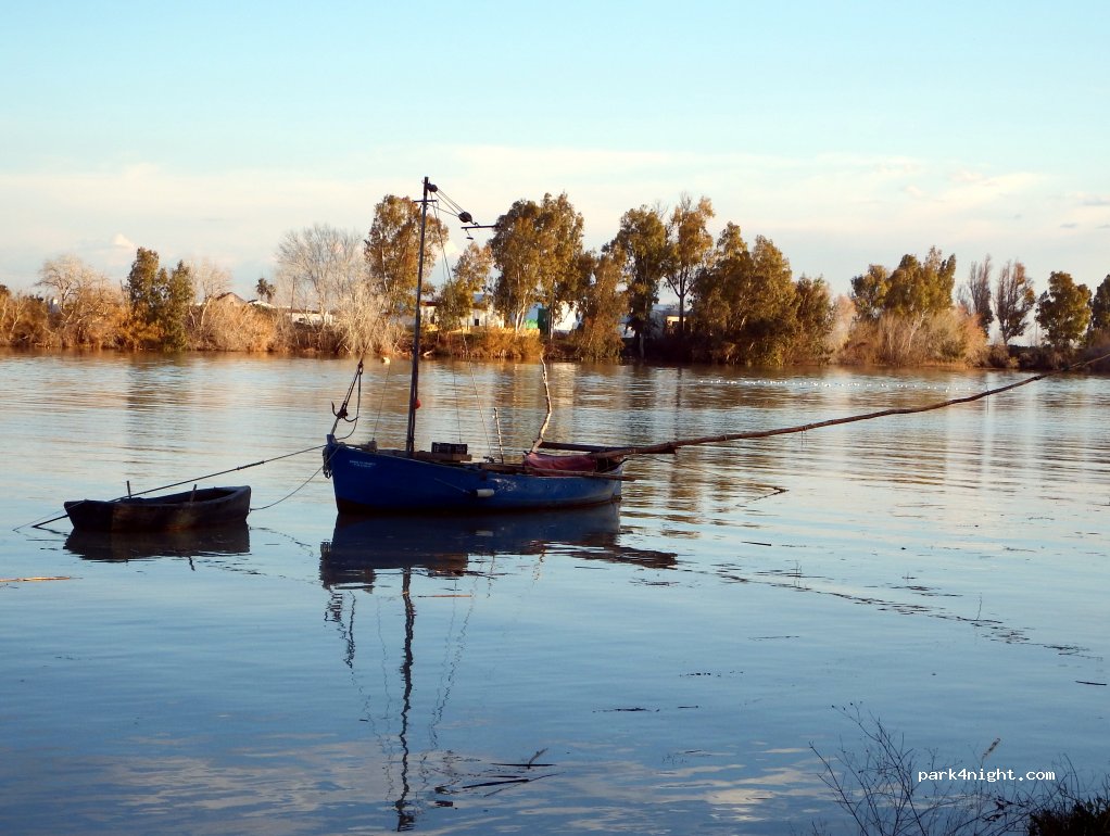 (41100) Coria del Río - 14 Calle Nebrija — foto 3