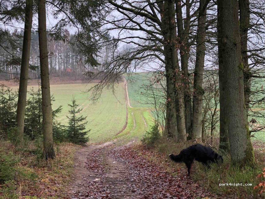 (21218) Seevetal - 37-21 Metzendorfer Straße — foto 3