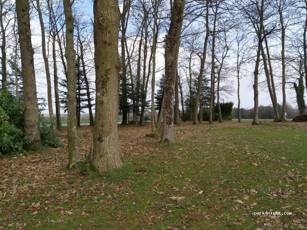 (56500) Évellys - Sainte-Brigitte — foto 2