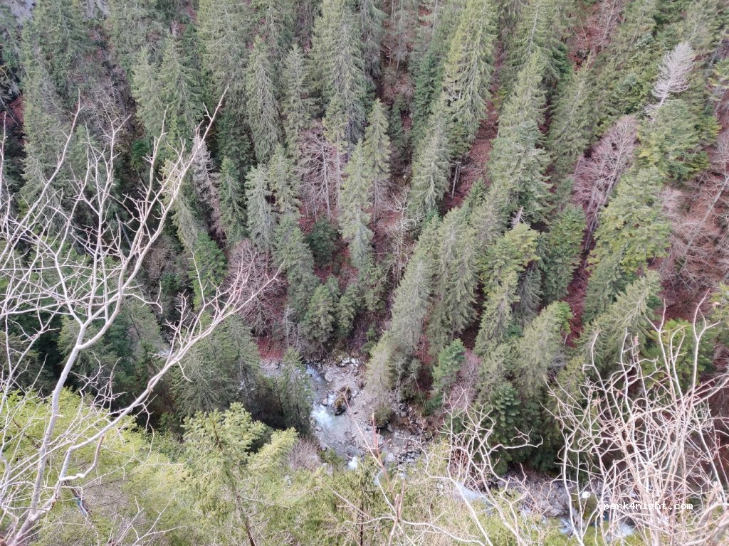 (1660) Château-d’Œx - 30-42 Route des Mosses — foto 3