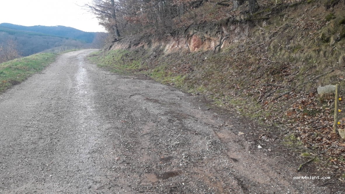 (67140) Andlau - D62 — foto