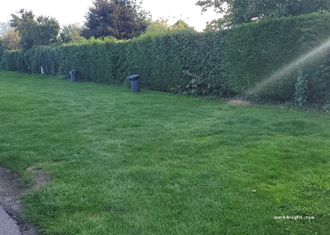 Camping Diepvennen — foto 2