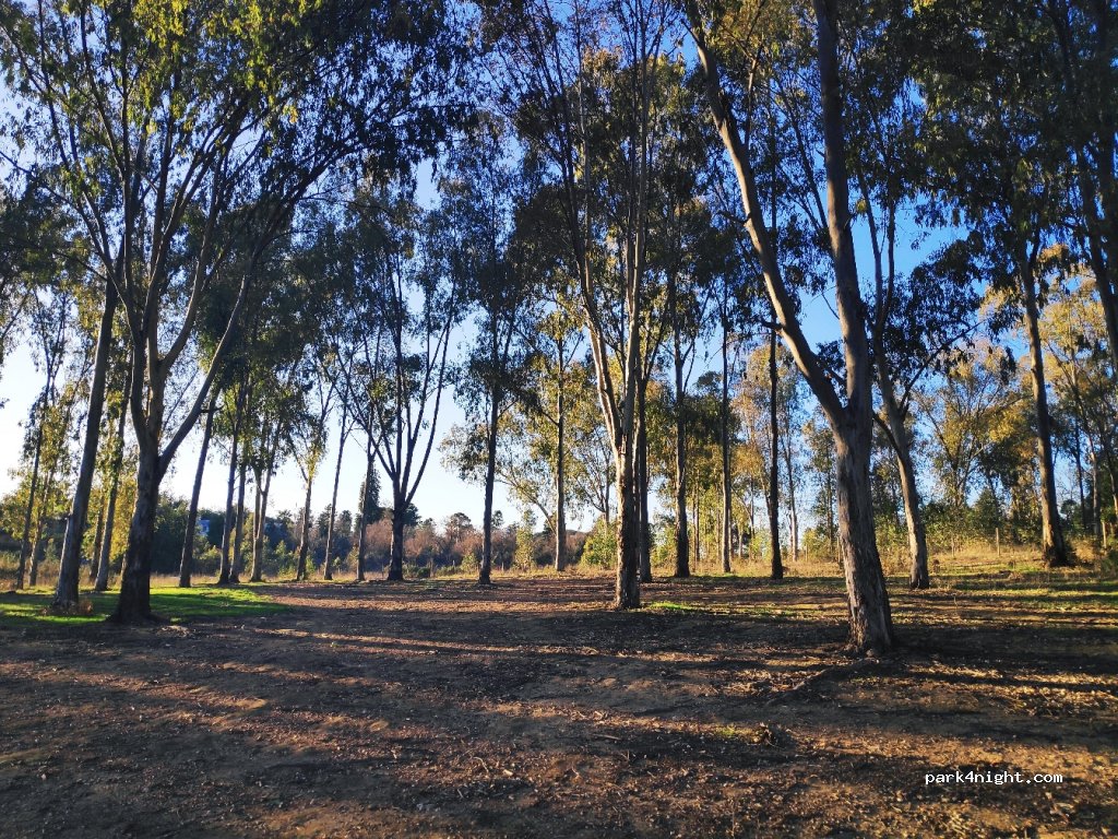 (21209) Puerto Moral - Unnamed Road — foto